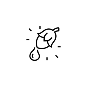 Aceites